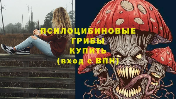 а пвп мука Баксан
